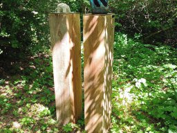 Rita offene Gartentor